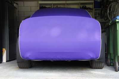 Lovely rear 2.JPG