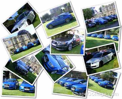 rs4 collage5.jpg
