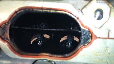 2011-09-22 17.07.56.jpg