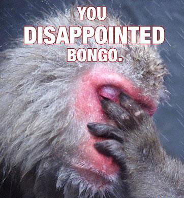 you-disappointed-bongo.jpg