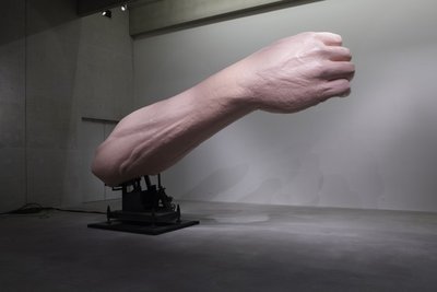 LucasBoschGelatin009_sized.jpg