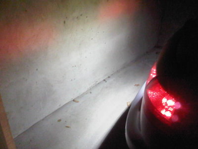 IMG-20120104-00141.jpg