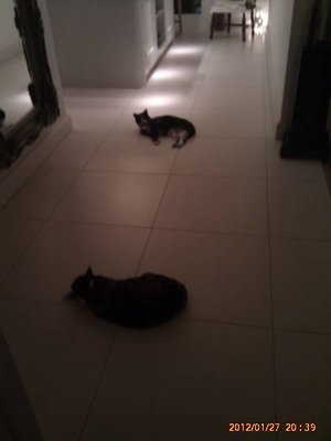 IMAG0280.jpg