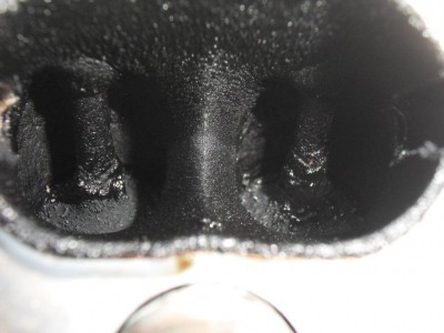 SDC10092.jpg