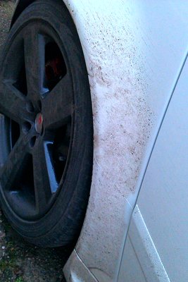 IMAG0685-1-1.jpg