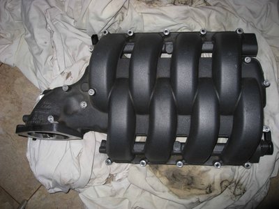 IMG_1985_web.jpg