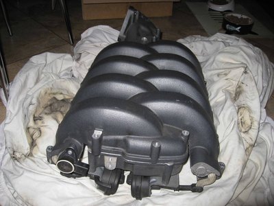 IMG_1986_web.jpg