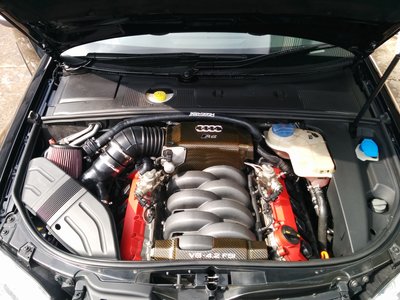 IMG_20140904_124321.jpg