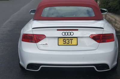 new plate 029.JPG