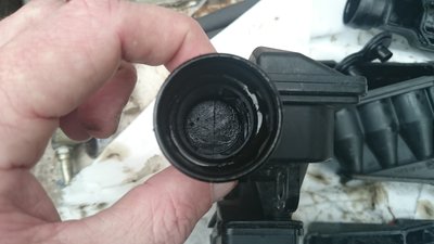 DSC_0172.JPG