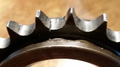 20150730_082415.jpg