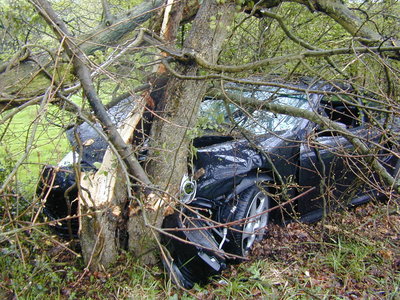 DSCN1808.JPG