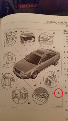 bentley.jpg