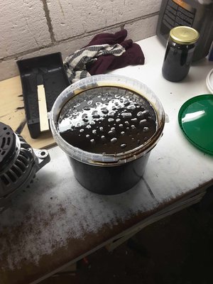 IMG_20170125_130446.jpg