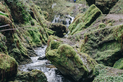 DSC_0066.jpg