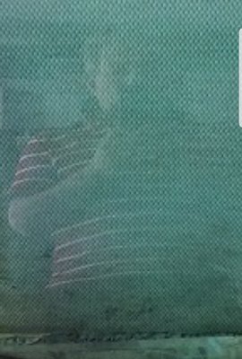 20180427_070744.jpg