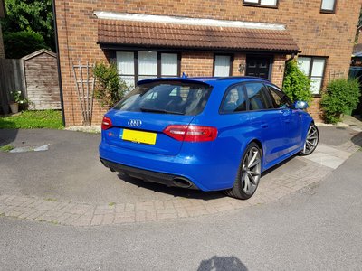 Noggy on drive rear.jpg