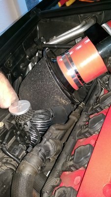 IMAG2570.jpg