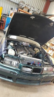 IMG_2981.jpg