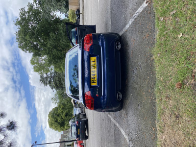 IMG_3329.jpeg