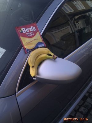 IMAG0296.jpg