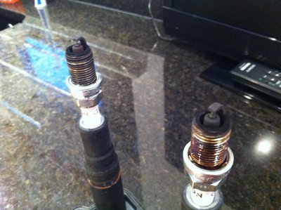 Cyc6&7.JPG