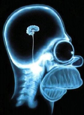 HomerBrain.jpg
