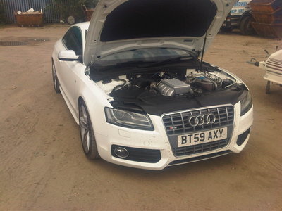 IMG-20120623-00065.jpg