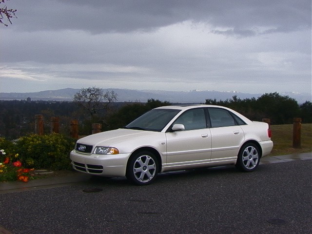 cali01.jpg