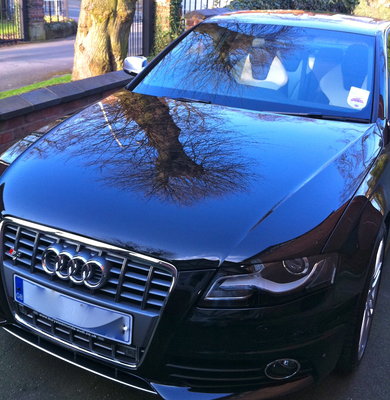 IMG_0059 copy - Version 2.jpg