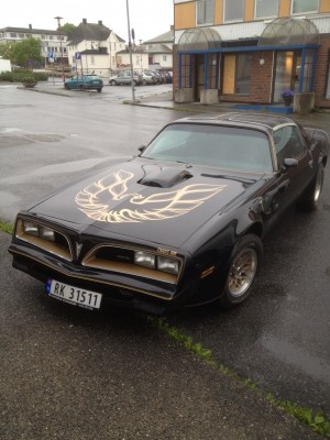 ImageUploadedByTapatalk HD1373659733.053223.jpg