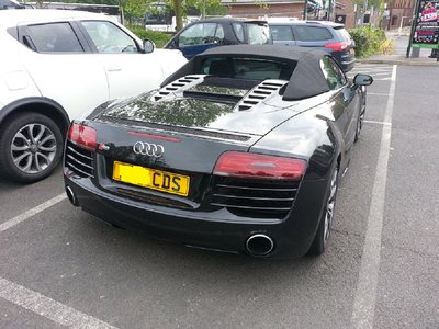 r8 back.jpg