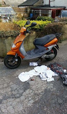 received_10155238643695136.jpeg