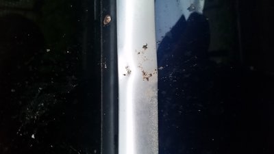 20150924_190548.jpg