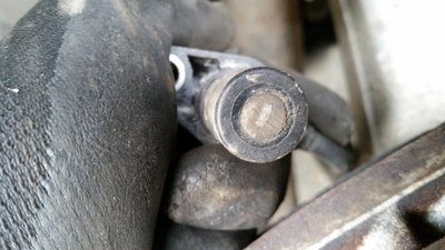 20160516_160440.jpg