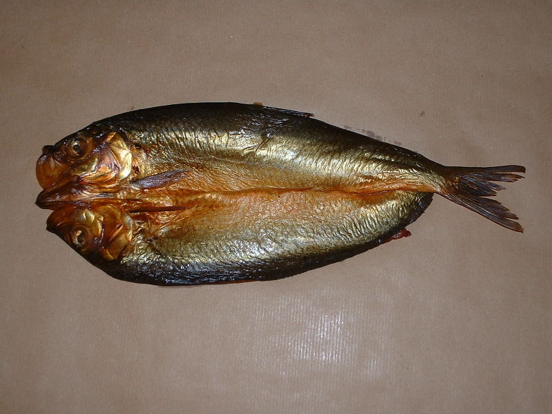 800px-Kipper.jpg
