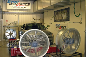 racing_dynocell1_2.jpg
