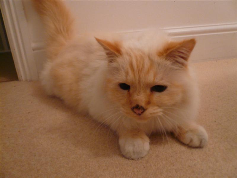 P1000838 (Medium).JPG