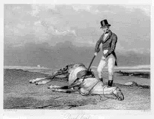 BeatDeadHorse[1].gif