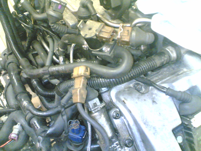 02012008(011).jpg