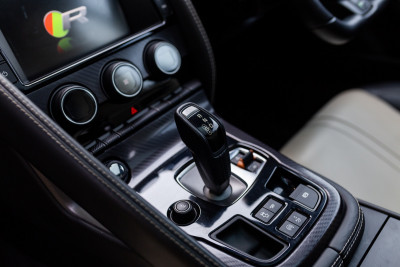 jaggearstick.jpg