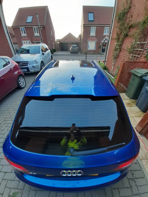 rear high.jpg