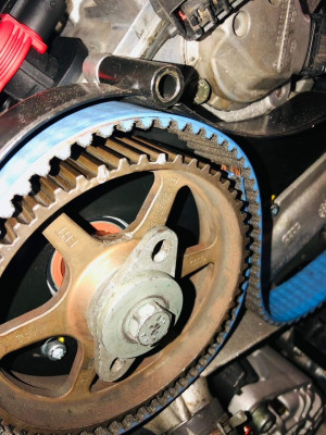 rs2223.jpg