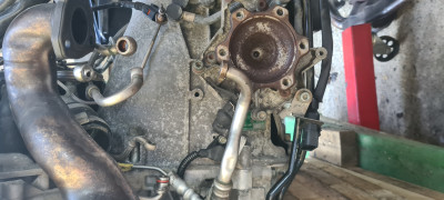 20241018_141053.jpg