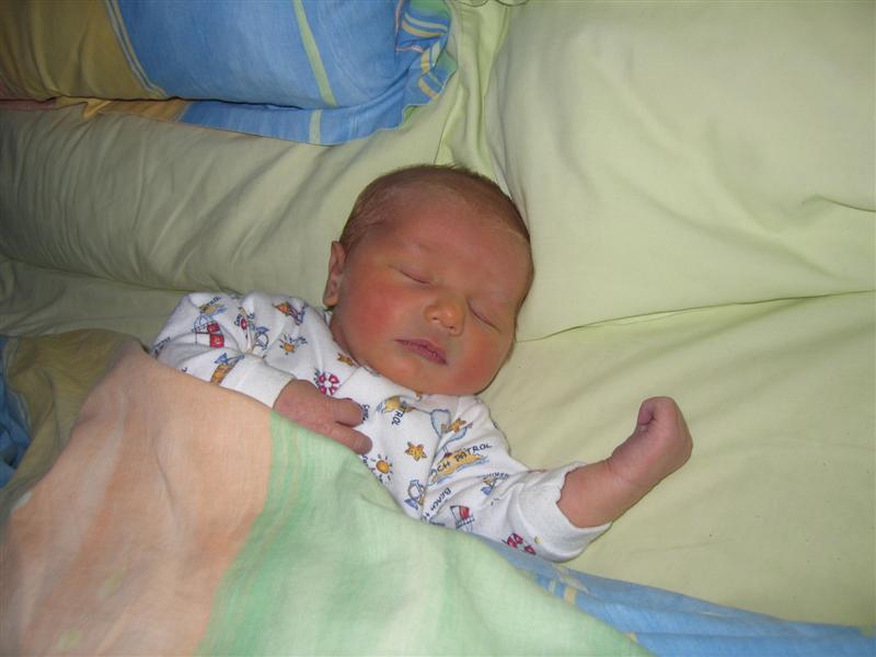 matthew1 001 (Medium).jpg