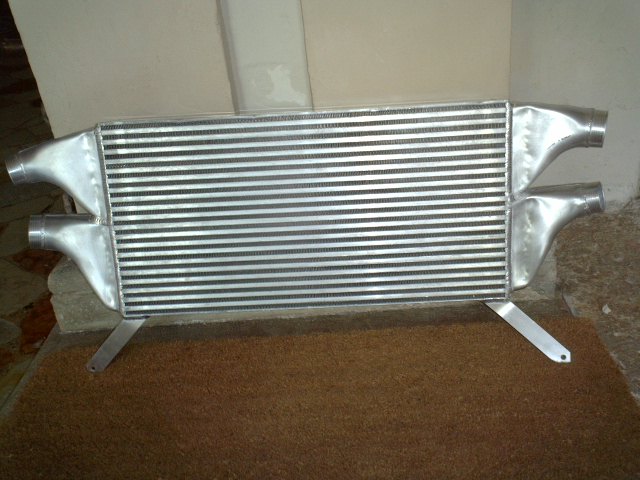 P1000356.JPG